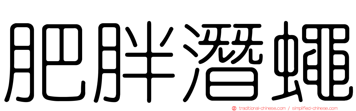 肥胖潛蠅
