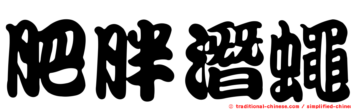 肥胖潛蠅