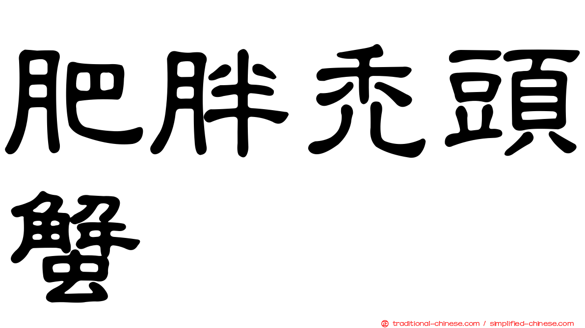 肥胖禿頭蟹