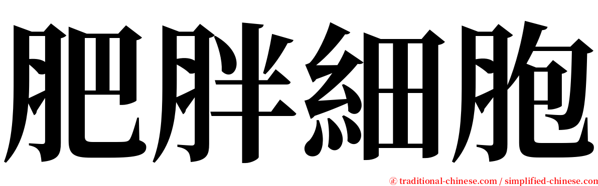 肥胖細胞 serif font