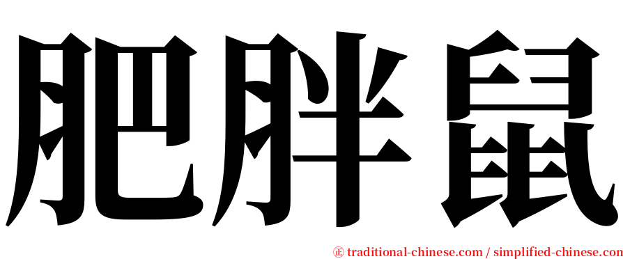 肥胖鼠 serif font