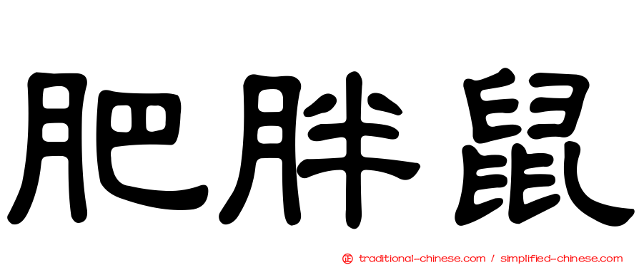 肥胖鼠