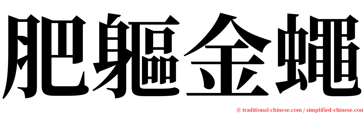 肥軀金蠅 serif font