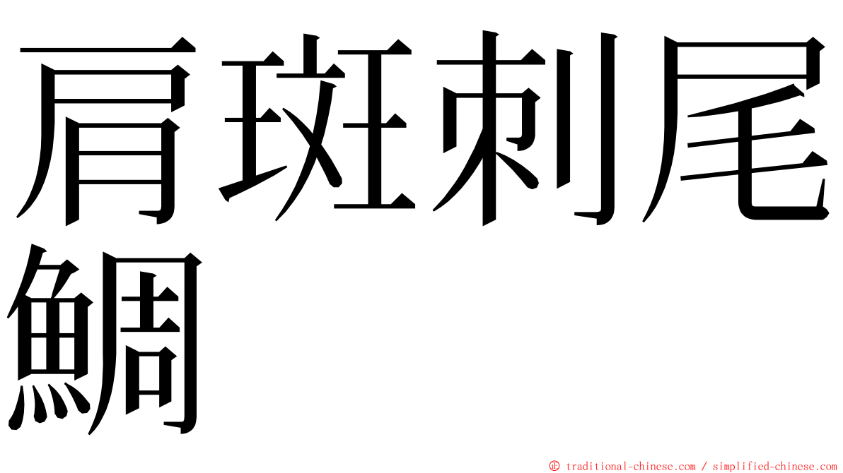 肩斑刺尾鯛 ming font