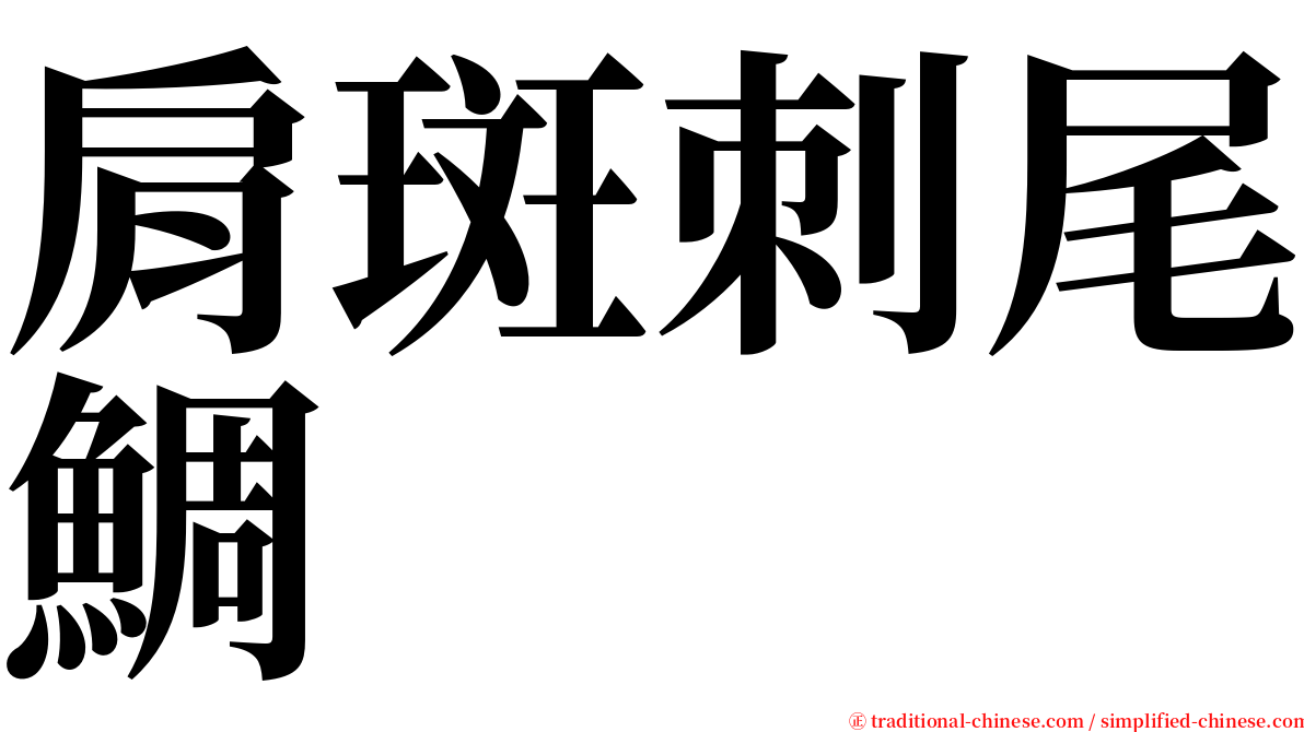 肩斑刺尾鯛 serif font