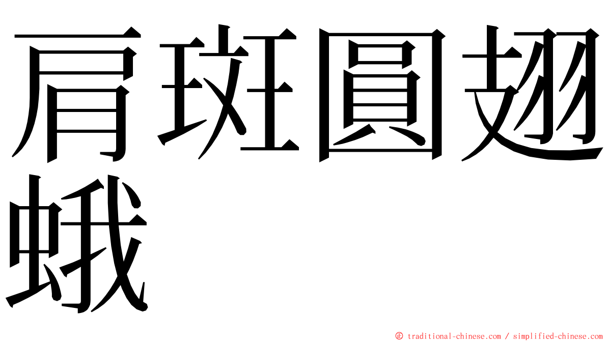 肩斑圓翅蛾 ming font