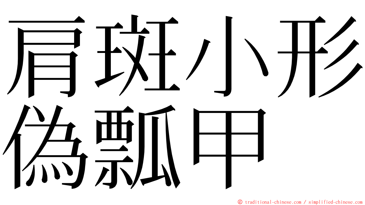 肩斑小形偽瓢甲 ming font