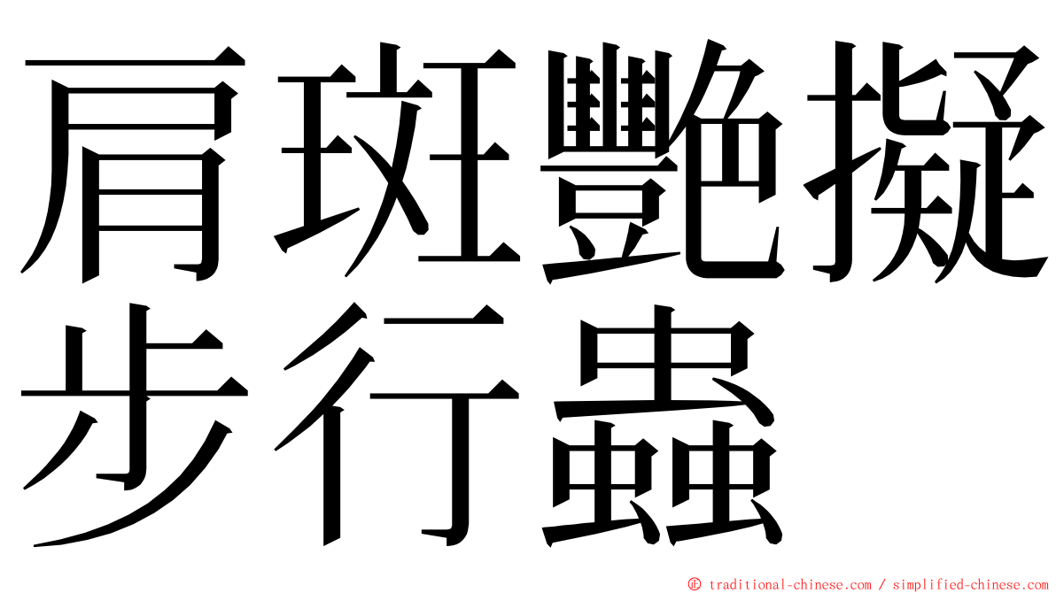 肩斑艷擬步行蟲 ming font