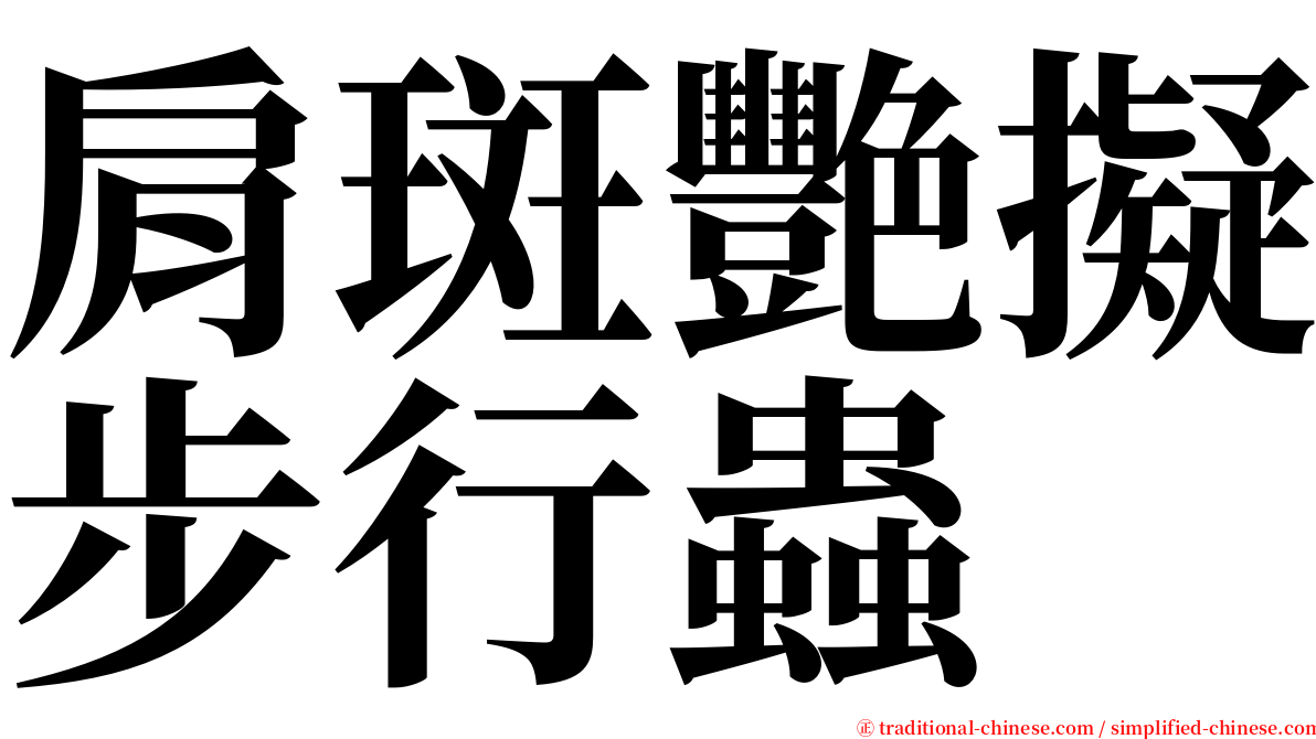 肩斑艷擬步行蟲 serif font