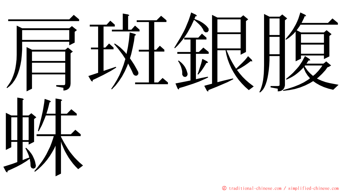 肩斑銀腹蛛 ming font