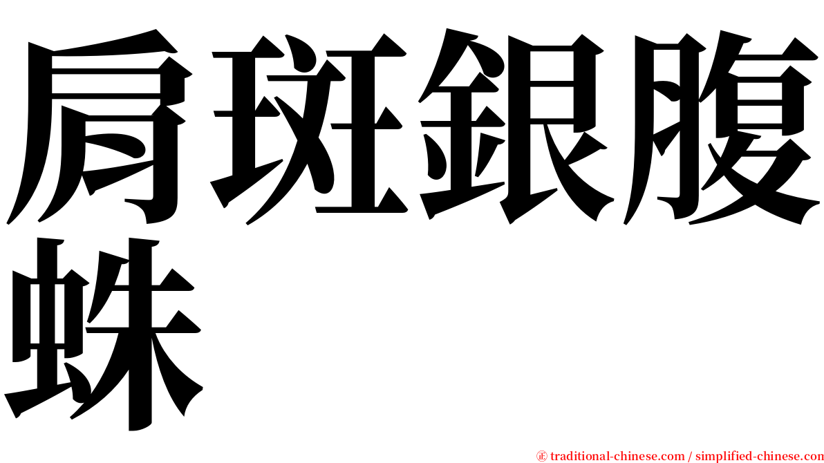 肩斑銀腹蛛 serif font