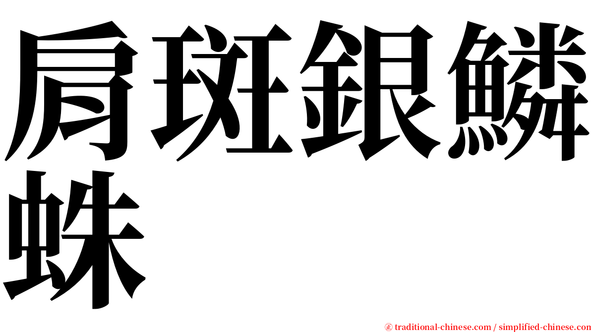 肩斑銀鱗蛛 serif font