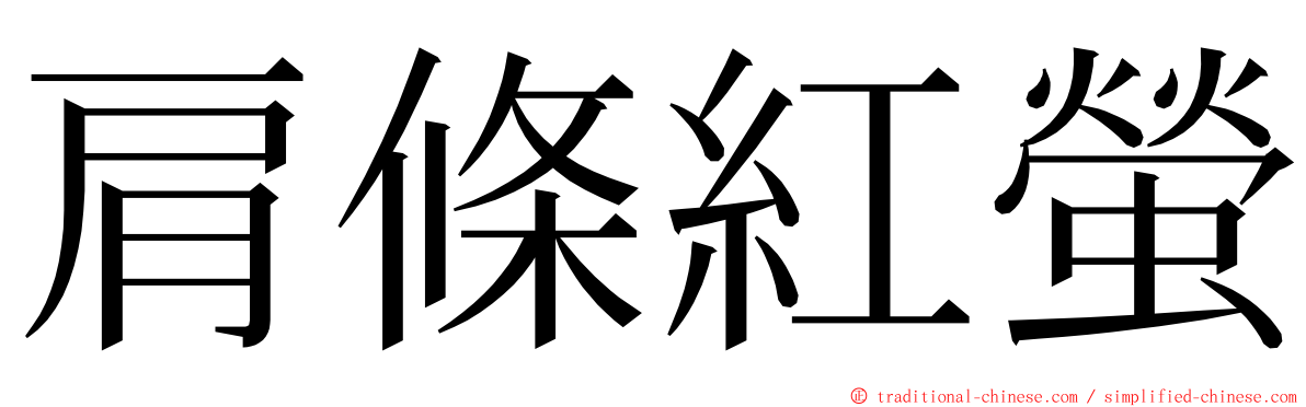 肩條紅螢 ming font