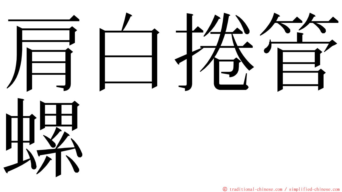 肩白捲管螺 ming font