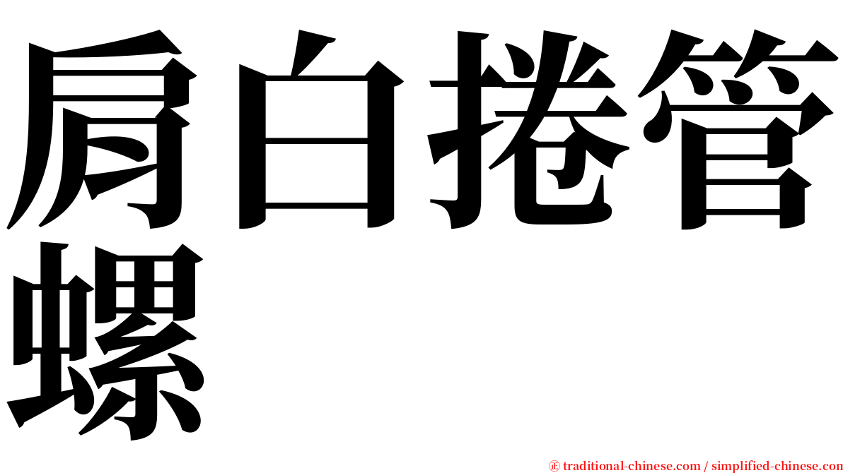 肩白捲管螺 serif font