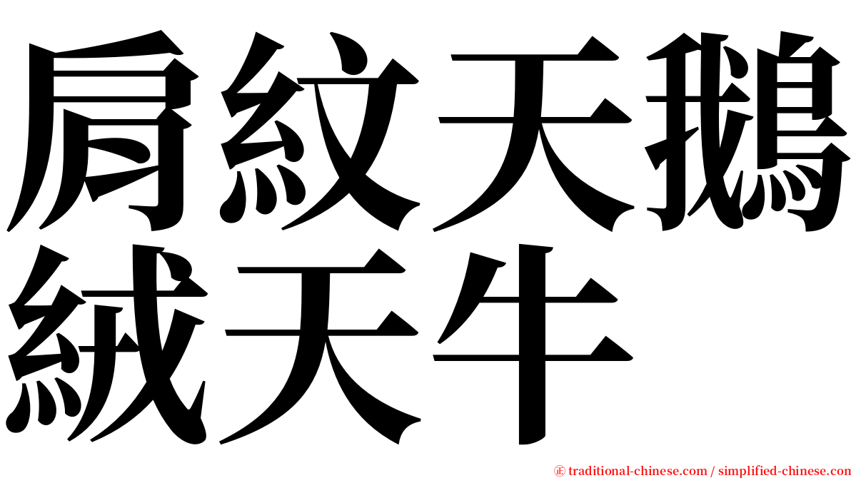 肩紋天鵝絨天牛 serif font