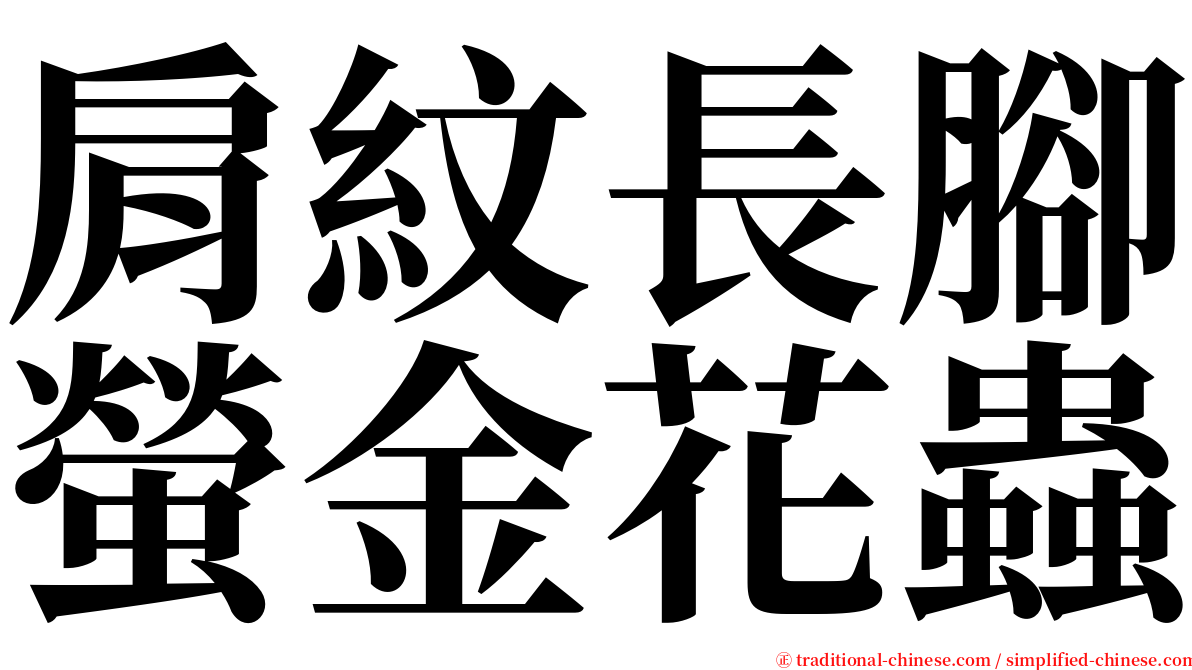 肩紋長腳螢金花蟲 serif font