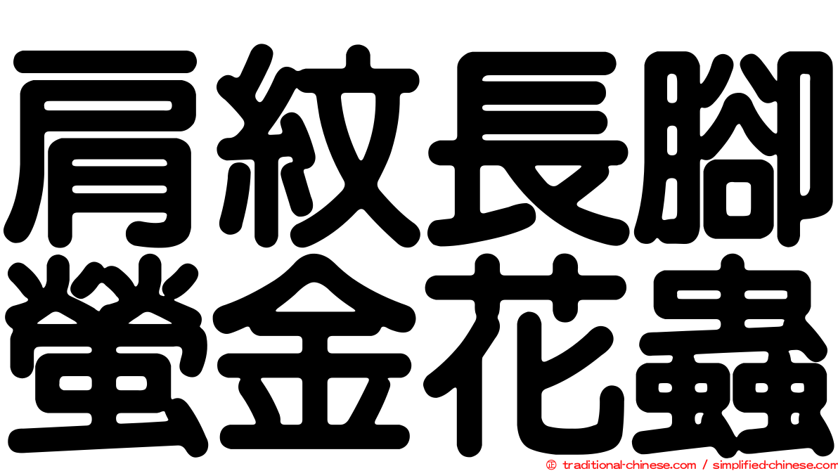 肩紋長腳螢金花蟲