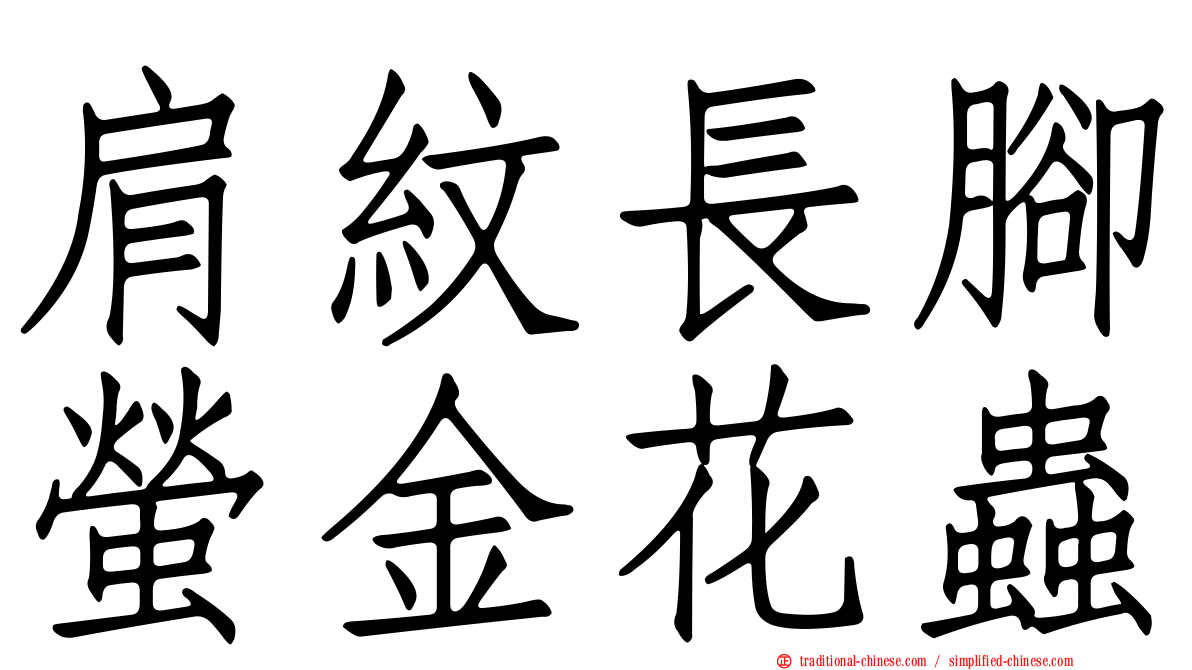 肩紋長腳螢金花蟲