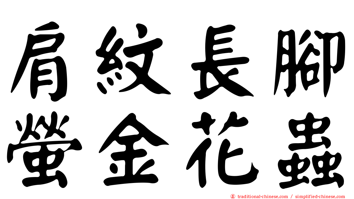 肩紋長腳螢金花蟲