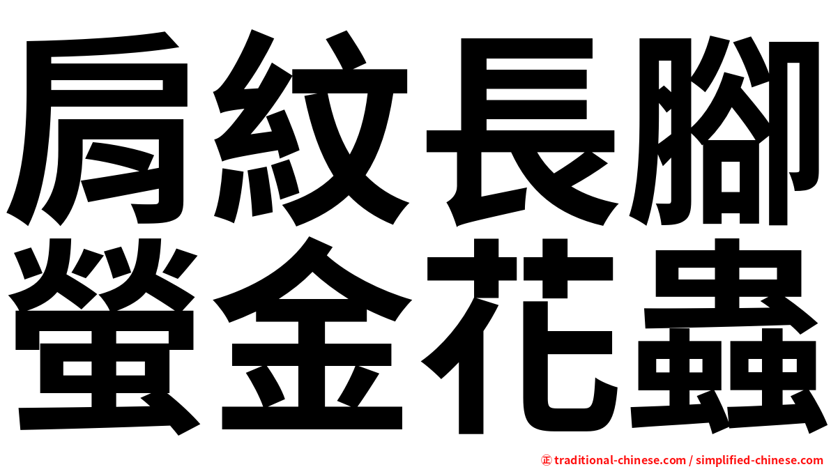 肩紋長腳螢金花蟲