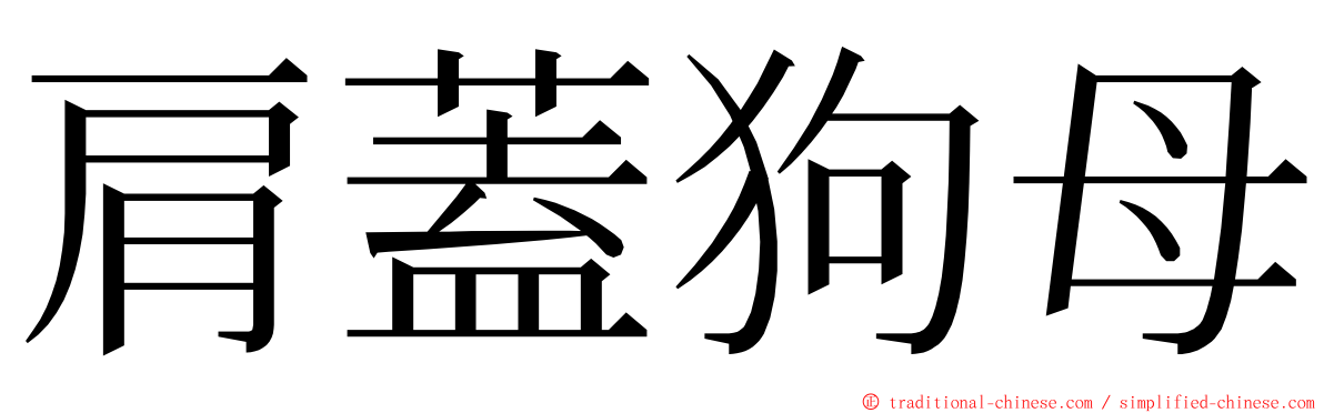 肩蓋狗母 ming font