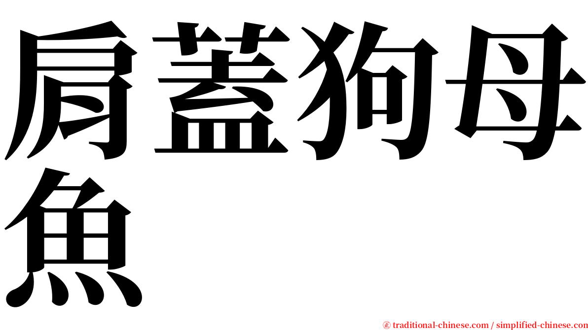 肩蓋狗母魚 serif font