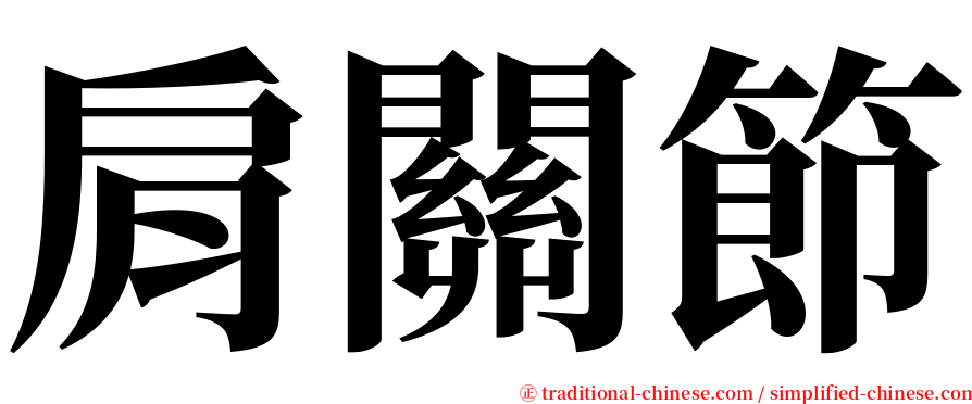 肩關節 serif font