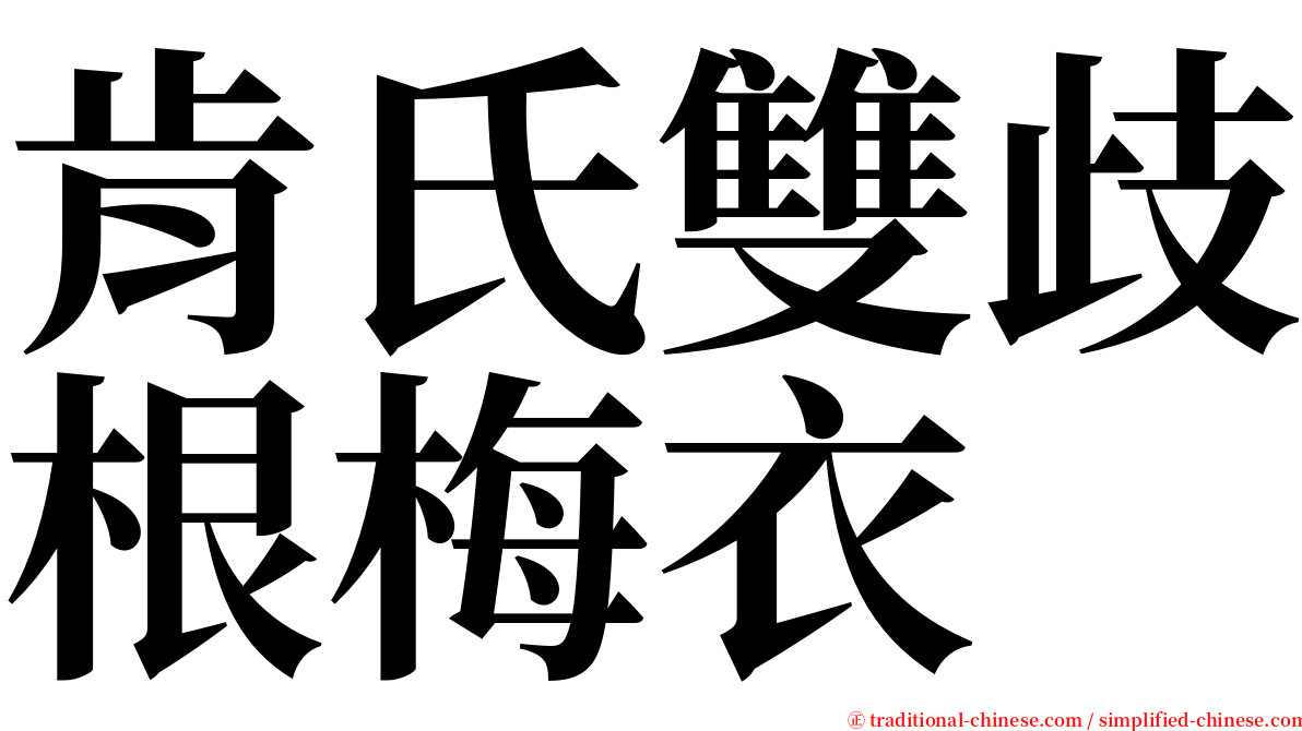 肯氏雙歧根梅衣 serif font