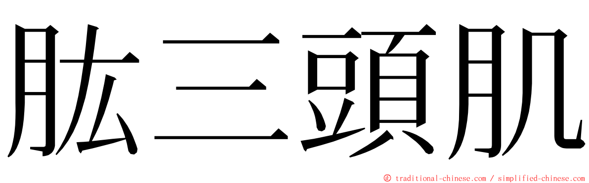 肱三頭肌 ming font