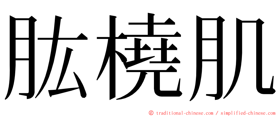 肱橈肌 ming font