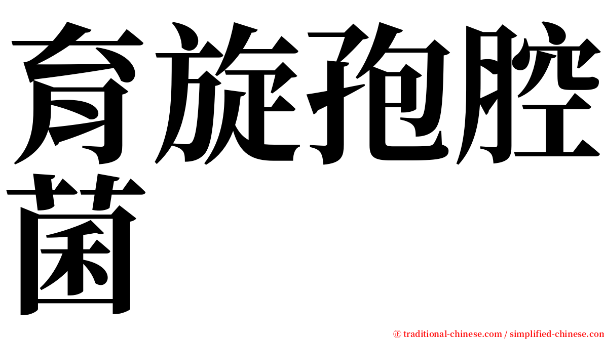 育旋孢腔菌 serif font