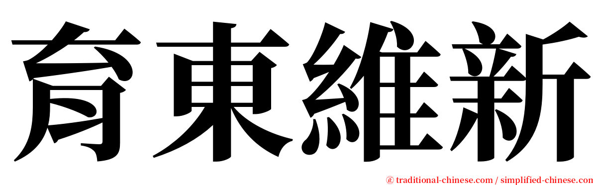 育東維新 serif font