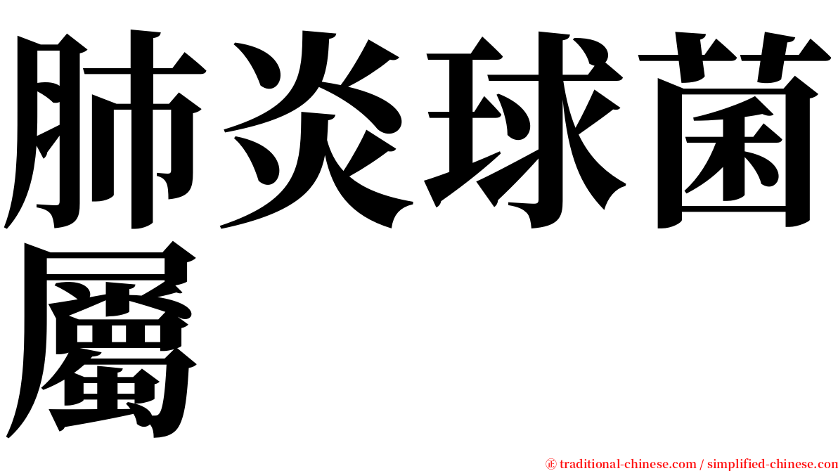 肺炎球菌屬 serif font