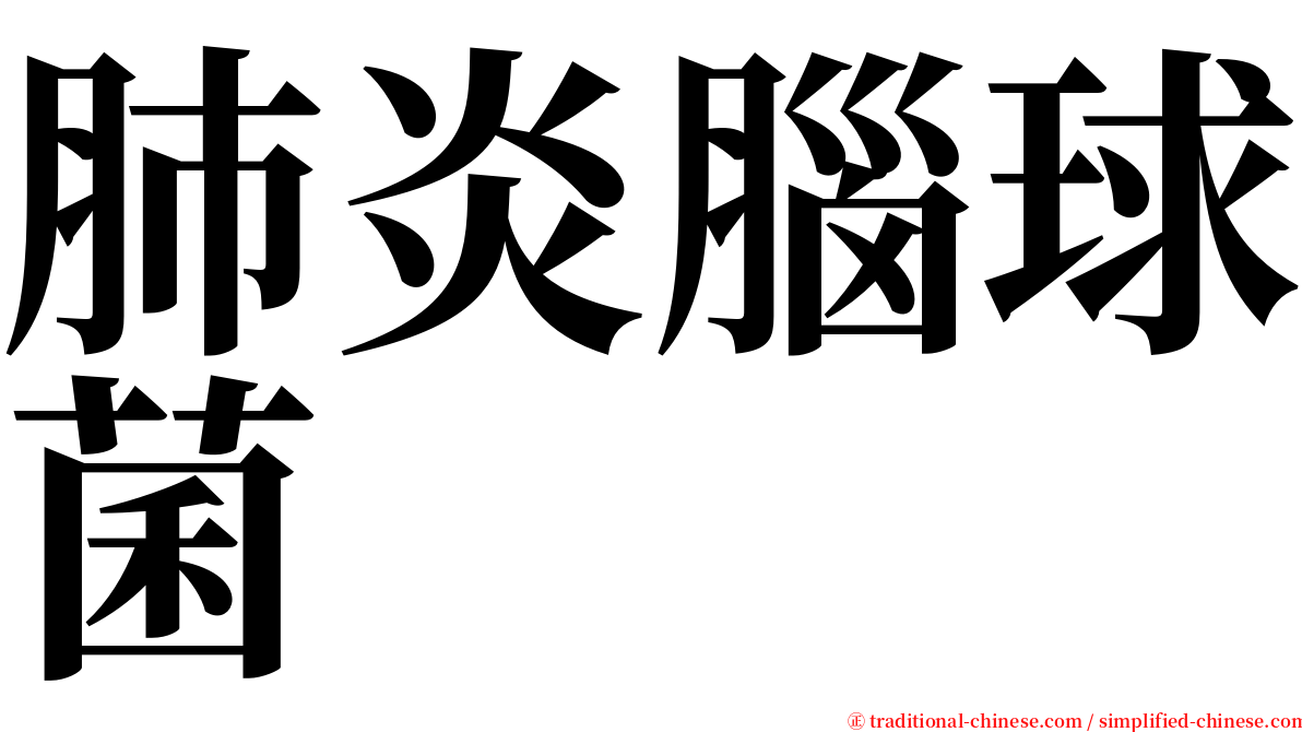 肺炎腦球菌 serif font