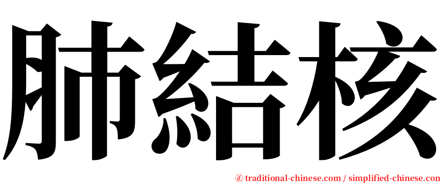 肺結核 serif font