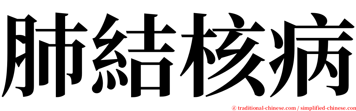 肺結核病 serif font