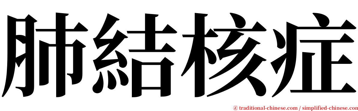 肺結核症 serif font