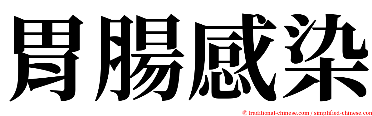 胃腸感染 serif font