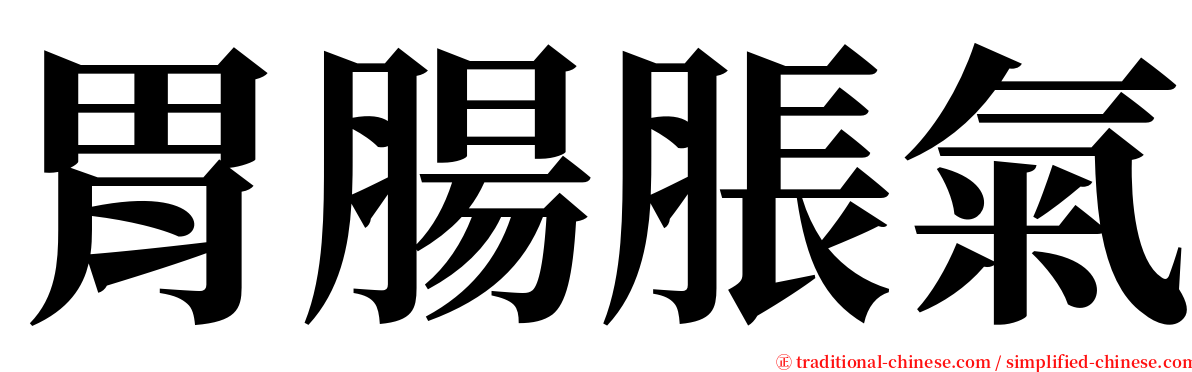 胃腸脹氣 serif font