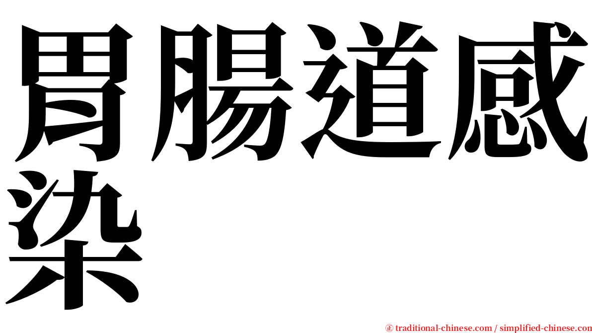 胃腸道感染 serif font