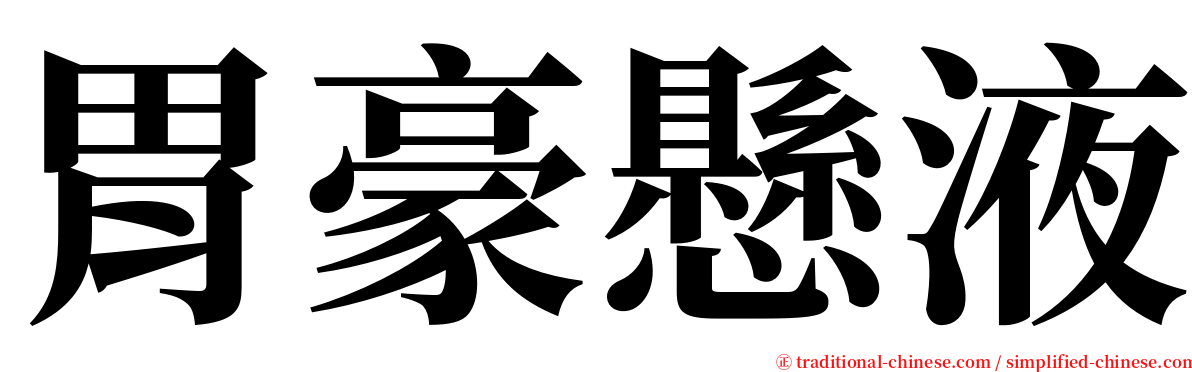 胃豪懸液 serif font