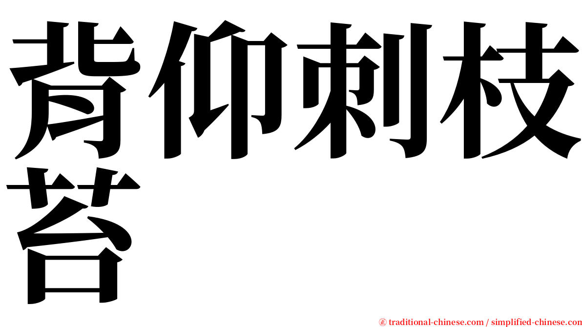 背仰刺枝苔 serif font