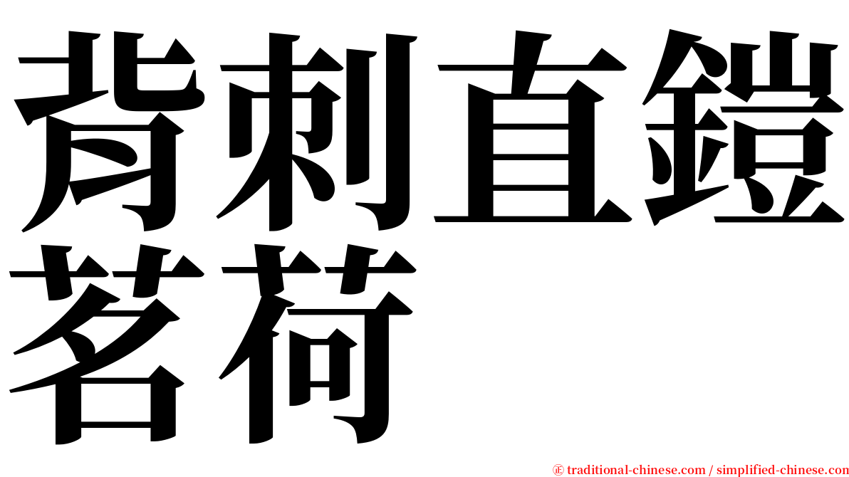 背刺直鎧茗荷 serif font