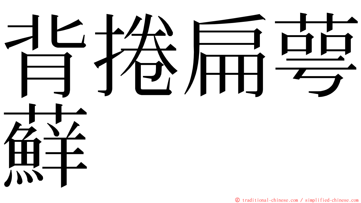 背捲扁萼蘚 ming font