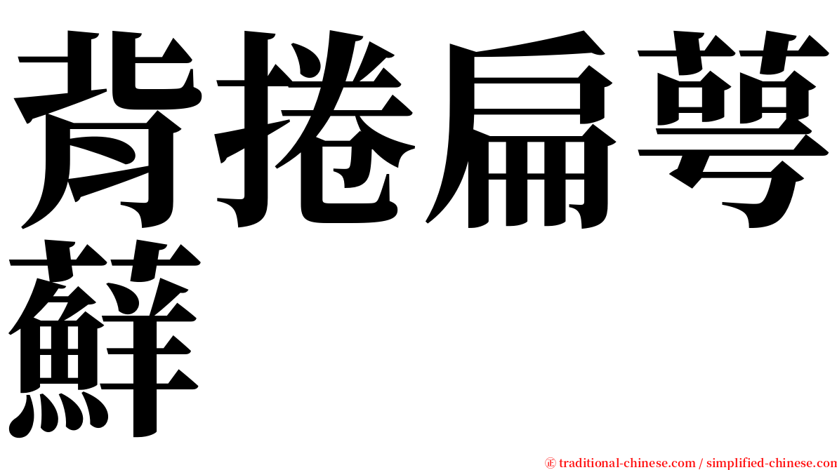 背捲扁萼蘚 serif font