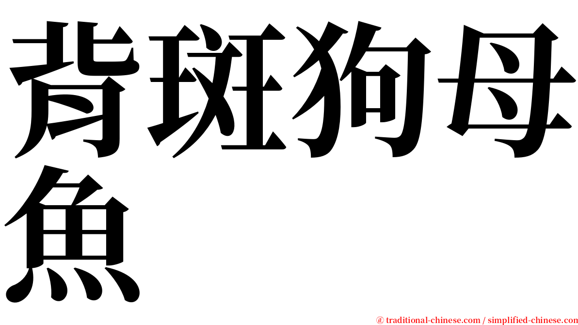 背斑狗母魚 serif font