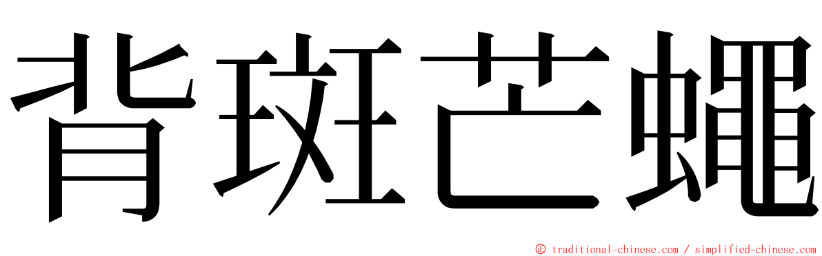 背斑芒蠅 ming font