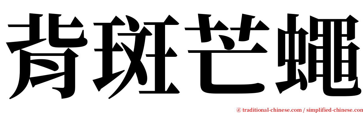 背斑芒蠅 serif font