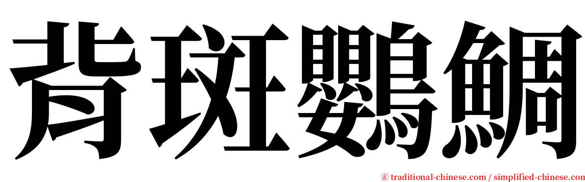 背斑鸚鯛 serif font